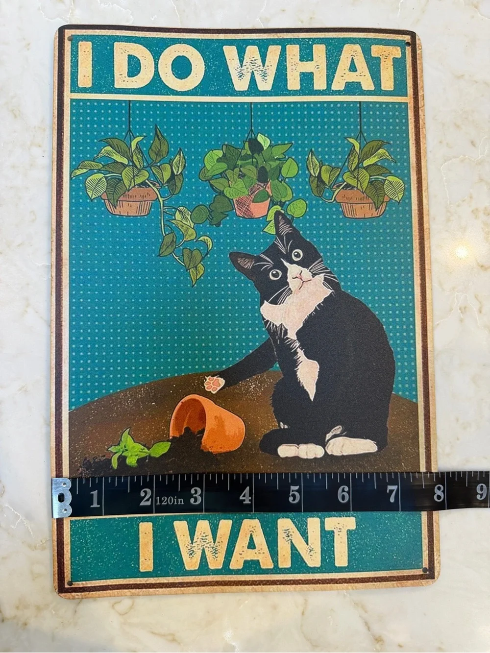 I Do What I Want Black & White Cat Retro Sign - Pets Cat Decor
